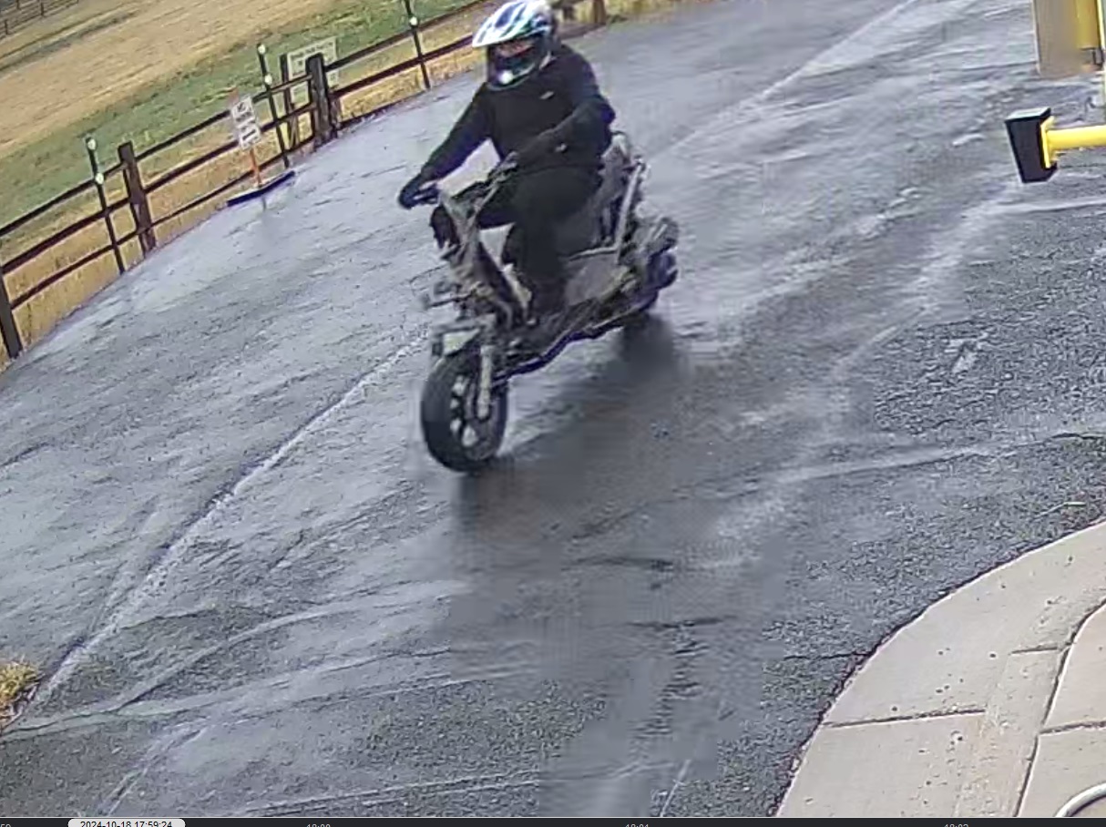 Person on Scooter 